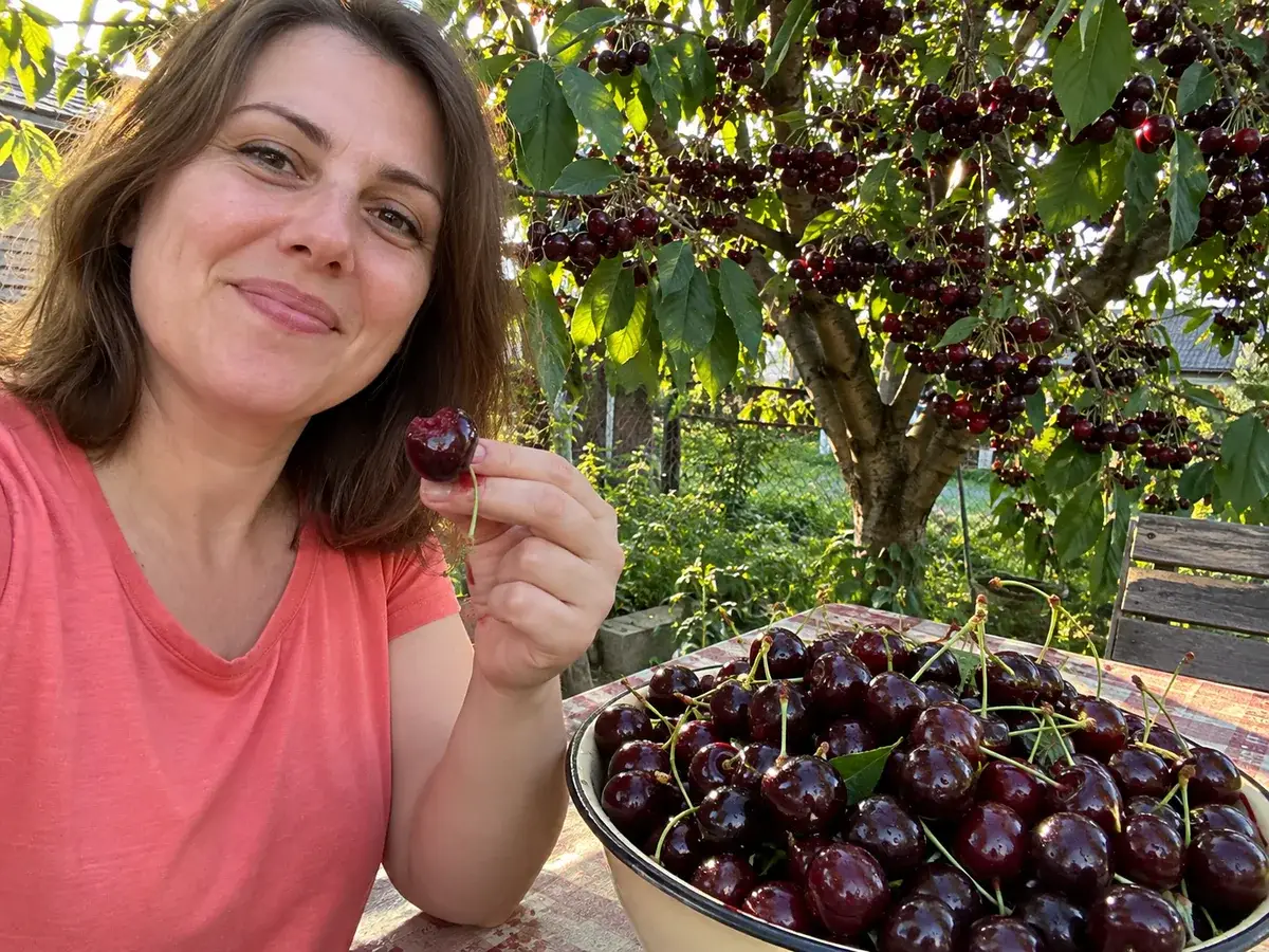 Сік на пальцях — черешня та домашній урожай